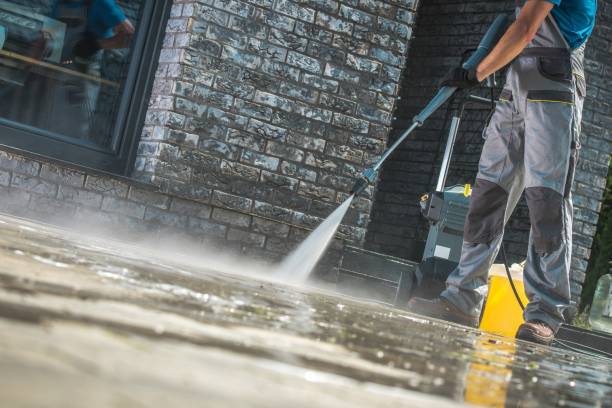 Best Roof Washing  in Milaca, MN