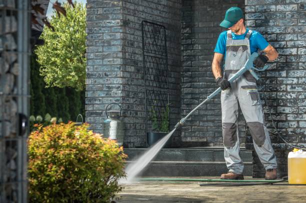 Best Animal Enclosure Cleaning  in Milaca, MN